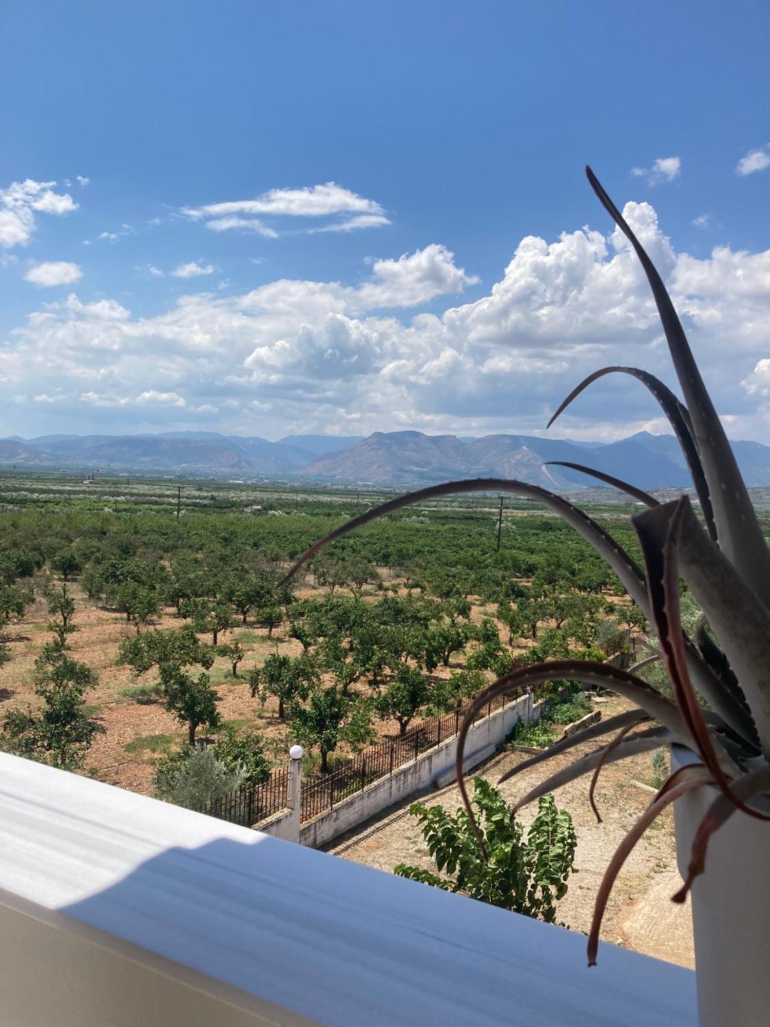 Enchanting Mycenae - Your Greek Holiday Retreat Árgos Eksteriør bilde